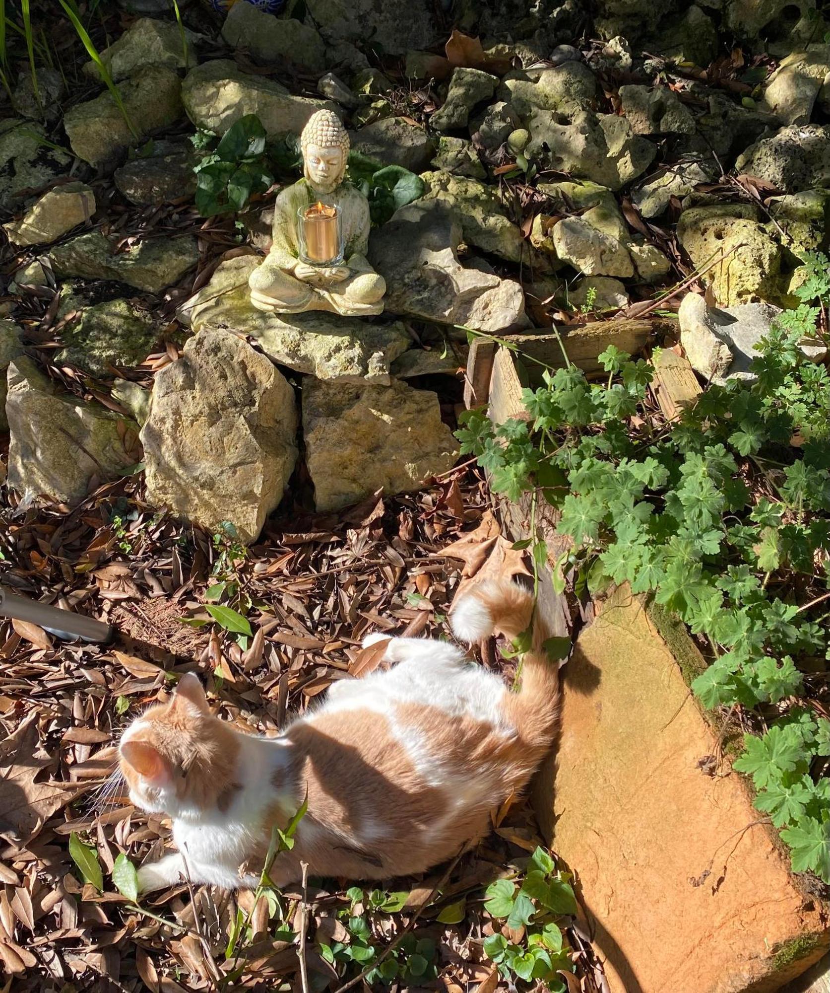 Au Jardin Bed and Breakfast Moissac Buitenkant foto